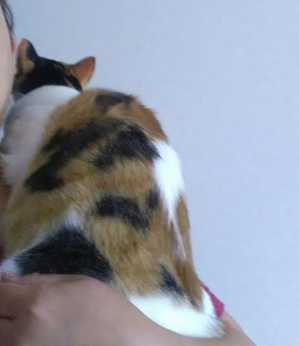 9日のチッチとこぶち♪