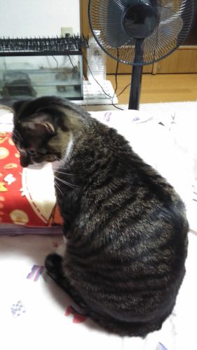 10日のチッチとこぶち♪