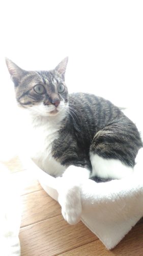 14日のチッチとこぶち♪