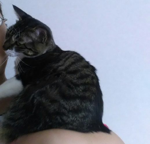 19日のチッチとこぶち