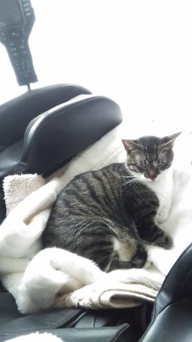 20日のチッチとこぶち♪