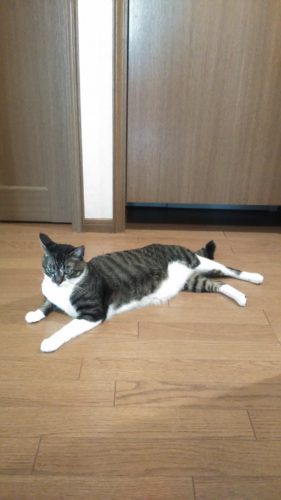 25日のチッチとこぶち♪