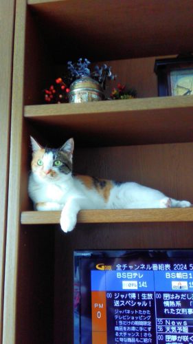 26日のチッチとこぶち♪