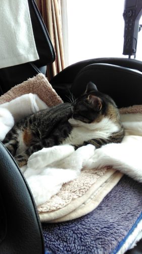 3日のチッチとこぶち（2重の虹）♪