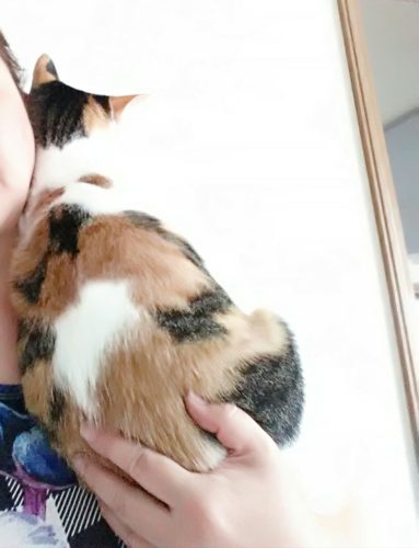 4日のチッチとこぶち♪