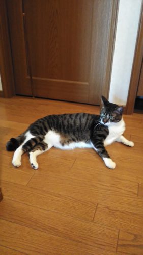 8日のチッチとこぶち♪