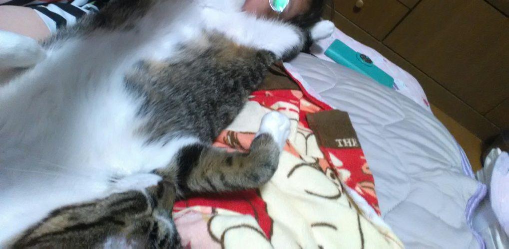 16日のチッチとこぶち♪