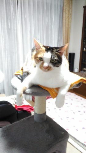 22日のチッチとこぶち♪