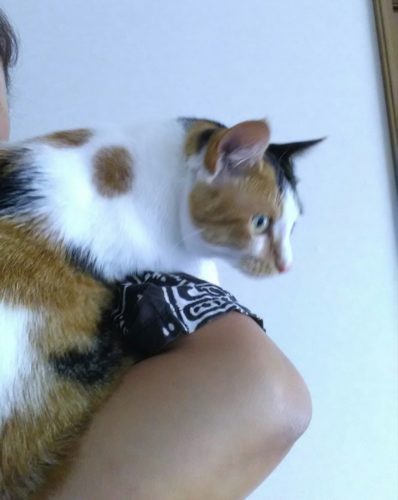 1日のチッチとこぶち♪