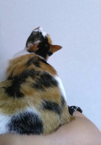 2日のチッチとこぶち♪