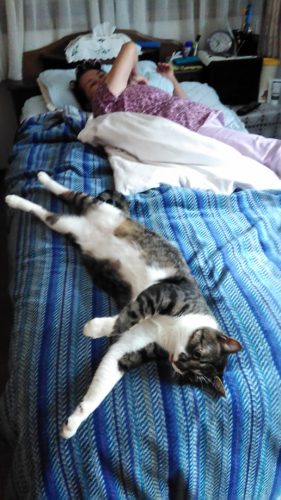 6日のチッチとこぶち♪