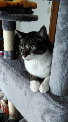 8日のチッチとこぶち♪