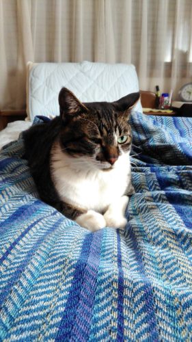 10日のチッチとこぶち♪