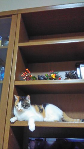 11日のチッチとこぶち♪