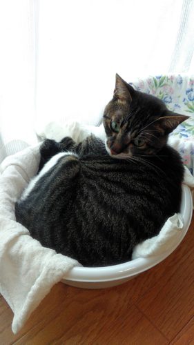 16日のチッチとこぶち♪