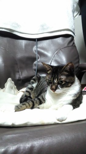 22日のチッチとこぶち♪