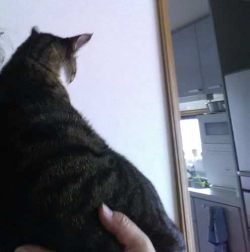 1日のチッチとこぶち♪