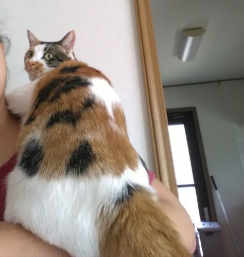 2日のチッチとこぶち♪