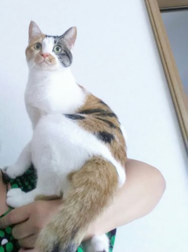 4日のチッチとこぶち♪